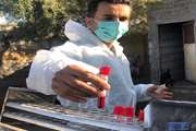 انجام خونگیری دام های سبک در روستاهای شهرستان قشم، به منظور بررسی اثر بخشی واکسن پیشگیری از بیماری بروسلوز در جمعیت دامی منطقه 